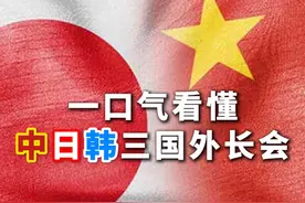 一口气看懂三国外长会 中日韩三国外长视频封面