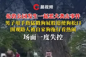 伦敦公园发生一起恶犬袭击事件，男子用手指猛戳狗屁股迫使狗松口，围观路人被自家狗拖行看热闹，场面一度失控#狗 #恶犬视频封面