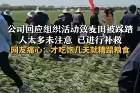 公司回应组织活动致麦田被踩踏
人太多未注意 已进行补救
网友痛心：才吃饱几天就糟蹋粮食
#袁隆平