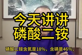 今天讲讲磷酸二胺 #老金说农业 #帮助农民增产增收视频封面