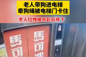 老人带狗进电梯，牵狗绳被电梯门卡住，老人拉拽被吊起后摔下视频封面