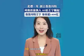 北漂一年创立泡泡玛特，河南首富换人 85后王宁崛起 