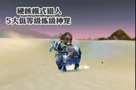 硬核模式猎人5大低等级练级神宠 实用性远超休玛等 #魔兽世界视频封面