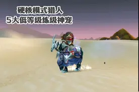 硬核模式猎人5大低等级练级神宠 实用性远超休玛等 #魔兽世界视频封面
