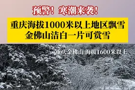 预警！寒潮来袭！重庆海拔1000米以上地区飘雪。受寒潮影响，2月6日晚上10点半左右，金佛山景区海拔1600米以上下起了鹅毛大雪。#第1眼TV口说有屏视频封面
