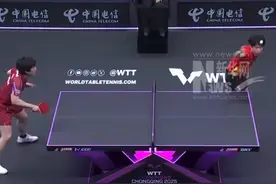 2025WTT重庆冠军赛，国乒提前包揽WTT男女单打冠亚军，加油！视频封面
