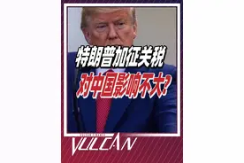 特朗普挥舞关税大棒：一场自损八百的经济豪赌？谁是最大赢家？ @DOU+小助手 @抖音短视频 #掘金计划2024 #特朗普 #美国 #投资 #经济视频封面