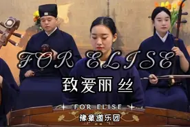 《致爱丽丝》原名《a小调巴加泰勒》视频封面