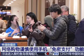 网络购物 谨慎使用手机“免密支付功能”#刑侦利剑守护平安视频封面