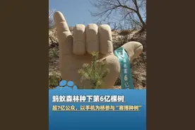 #蚂蚁森林种下第6亿棵树  2025年4月22日，世界地球日之际，蚂蚁森林在河北丰宁种下第6亿棵树，这6亿棵树的背后，是超过7亿公众，以手机为桥，参与“赛博种树”，每一棵树的栽种，都是大家对未来蓝天绿水的期许。#中国网友手机种树6亿棵视频封面