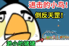 愤怒的小鸟万宁版！一只鸟就能占一个屏幕！视频封面