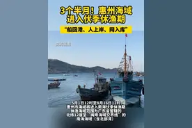 3个半月！惠州海域进入伏季休渔期#休渔  #惠州  #广东视频封面