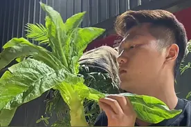 在我的小city里狂欢~列气！#烟火里藏着乡愁#夏天到了在我的小city里狂欢#谁是夏日夜宵顶流视频封面