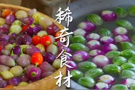 云南这些稀奇小众食材，你知道几种？ #云南美食 #云南特色美食视频封面
