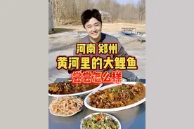 河南郑州，尝尝黄河里的大鲤鱼有什么不同 #我要上热门 #人间烟火 #省饭课代表 #郑州 #黄河大鲤鱼视频封面