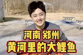 河南郑州，尝尝黄河里的大鲤鱼有什么不同 #我要上热门 #人间烟火 #省饭课代表 #郑州 #黄河大鲤鱼视频封面