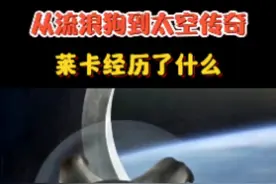 从流浪狗到太空传奇，莱卡经历了什么？ #科普 #知识分享 #航天 #神奇的闲鱼视频封面