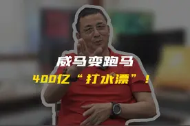 威马变跑马，400亿“打水漂”！ #财经  #市场  #威马视频封面