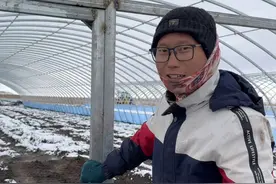 超级大棚主体框架初见模样，北大荒已经开始下第二场雪了，抓紧~ #新农人计划2024 #乡村守护人 #梦儿在北大荒视频封面