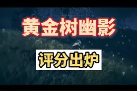 最强DLC？艾尔登法环媒体评分出炉，IGN和GS给出双满分10分视频封面
