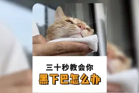 30s教会你，猫咪黑下巴该怎么解决 #新手养猫 #小卢呼噜噜视频封面
