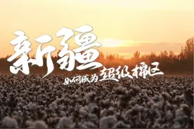 全世界最好的棉花，为什么在新疆？ 如今视频封面