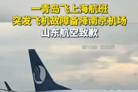 一青岛飞上海航班突发飞机故障备降南京机场，山东航空致歉
