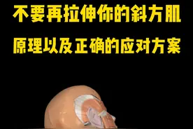 不能拉伸的肌肉，斜方肌#运动解剖 #功能性训练 #体态纠正