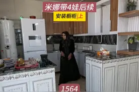 完美的橱柜，打造现代厨房，米娜纪录片1564集（上） #米娜视频封面