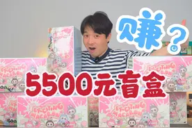 花5500元买泡泡马特盲盒，最后是亏还是赚？ #盲盒 #泡泡马特视频封面