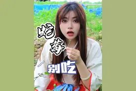 【蛇莓】老人说这是蛇吃的果子？#野草莓能吃吗  #蛇果  #野果子  #蛇莓  #野果子有认识的吗视频封面