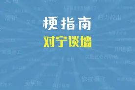 对宁谈墙是什么梗【梗指南】 #梗指南 #英雄联盟 #宁王 #王多多视频封面