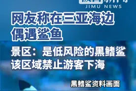 网友称在三亚海边偶遇鲨鱼，景区：是低风险的黑鳍鲨，该区域禁止游客下海视频封面