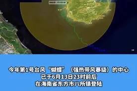 台风“蝴蝶”已在海南省东方市八所镇登陆！ #台风蝴蝶 #登陆   #今年第1号台风 #台风蝴蝶登陆视频封面