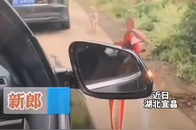 狗狗追婚车五六公里送主人出嫁，新娘在车里偷偷抹眼泪#狗狗 #新娘 视频封面