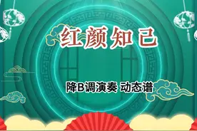 葫芦丝《红颜知己》降B调演奏 动态谱 葫芦丝 降B调演奏 动态谱视频封面