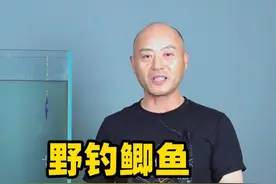 野钓鲫鱼，拉饵、搓饵哪个更好用？ #钓鱼 #调漂技巧 #dou是钓鱼人 #2024dou来钓鱼 #钓鱼人视频封面