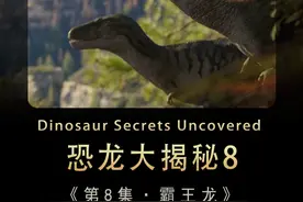 霸王龙从捕猎失败到夜战巨兽，又从找到爱情走向离异的全过程