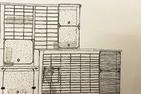 DIY的本质是什么，如何零元打造宠物用品#宠物 #diy视频封面