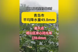 7月1日6时至3日6时青岛市平均降水量49.8mm。截至目前，2024年全市累计降水量205.5mm，比去年同期(198.3mm)偏多3.6%，比历年同期（213.2mm)偏少3.6%；入汛以来全市累计降水量80.0mm，比去年同期(109.7mm)偏少27.1%，比历年同期（94.0mm)偏少14.9%。#城阳 #本地新闻 
编辑：方琦视频封面
