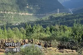 10月26日，四川，男子在绵阳发现整座山都是化石，就连村民修房子用的都是化石。网友：沧海桑田在这一刻具象化#四川dou知道 #四川绵阳 #化石 #沧海桑田视频封面