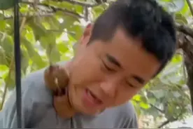 断臂男子种16亩猕猴桃
养活家人
网友：身残志坚，上链接！视频封面