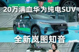 千万别去试驾全新岚图知音！#超空间华系纯电suv #全新岚图知音