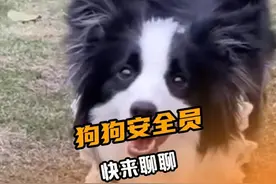 谁不为小狗的神奇能力心动啊！#小狗预知危险有多绝  #狗狗是人类的守护神