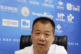 6种猫咪应激表现，你家主子中过几条？ #科学养宠攻略 #养猫新手 #猫咪的迷惑行为 #猫应激 #萌宠出道计划视频封面