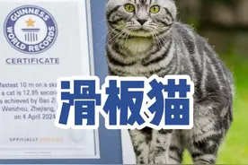 【#网红猫玩滑板破吉尼斯纪录 】来自中国的滑板猫“包子”用时12.85秒滑板滑行10米创下吉尼斯纪录。据了解，包子不仅聪明还非常勇敢和顽皮，在家里爱吃爱睡非常粘人，但一跳上滑板就变得自信且大胆。@滑板猫包子 

包子的主人李江涛是一位资深宠物训练师，最初专注于训练狗。包子对滑板表现出了极大的兴趣，李江涛便决定培养包子的这项天赋。#美短虎斑猫 #记录猫咪日常视频封面