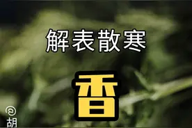 香菜也能治感冒，试试#香菜粥  #新冠防治中如何使用中医药  #风寒感冒  #手把手让你更健康  #胡博士说中医视频封面