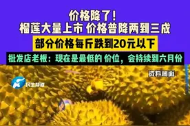 5月12日河南郑州：价格降了！榴莲大量上市 价格普降两到三成，部分价格每斤跌到20元以下，批发店老板：现在是最低的 价位，会持续到六月份#榴莲视频封面