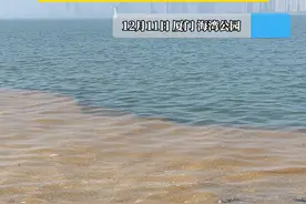 猜猜这是啥？
厦门海边突然出现视频封面