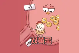 蛋界“双胞胎”诞生记 #双黄蛋 #原创动画 #内容过于真实 #二次元原创 #新农人计划2025视频封面